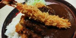 Japanese curry with katsu and ebi